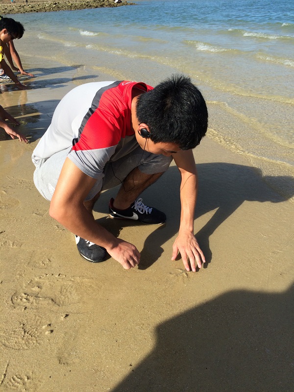 漢彥在龍尾灘上觸摸海星