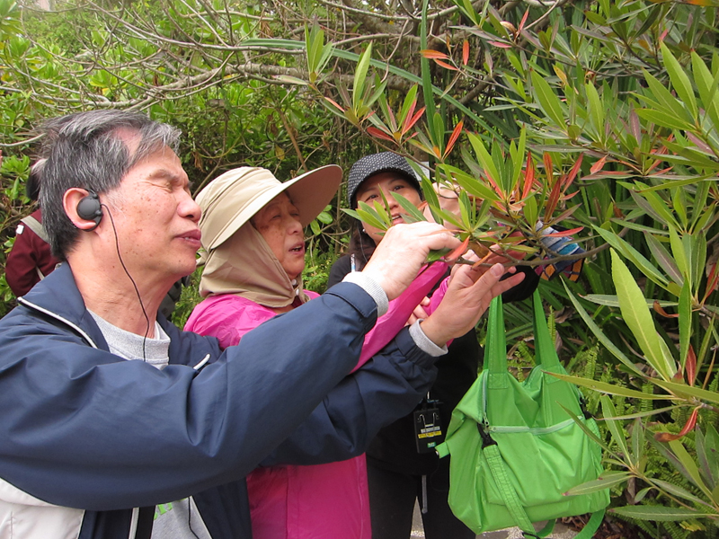 视障会员参加户外活动, 触摸植物