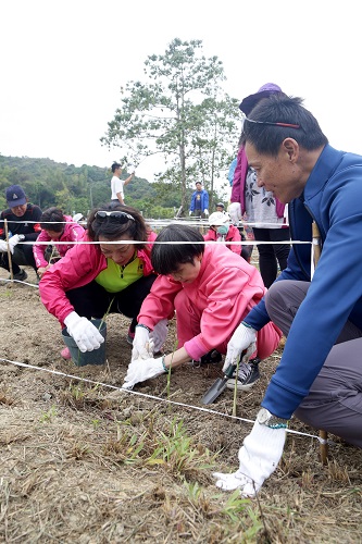 Participants tried farming